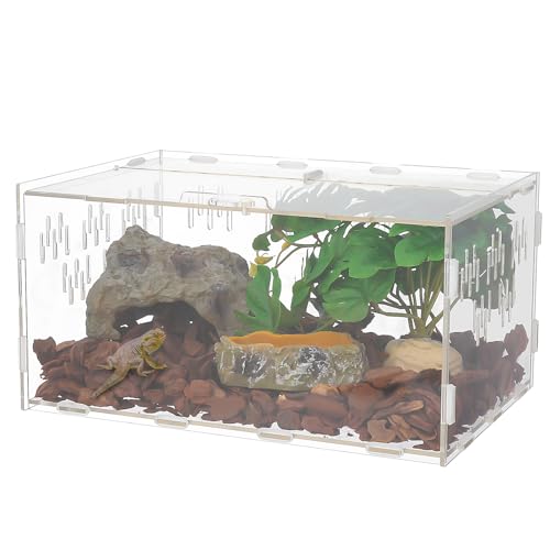 Halinuia Schneckenterrarium 30x20x15cm Acryl Terrarium Terrarium Schnecken Wasserschildkröten Spinnen Hamster Einsiedlerkrebse Eidechse