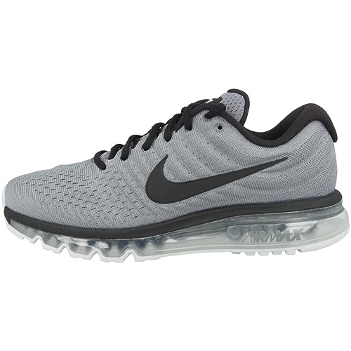 Nike Herren Air Max 2017 Traillaufschuhe, Grau (Cool Grey/Black/Pure Platinum 011)