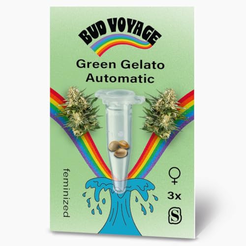 BudVoyage Green Gelato Auto Verpackung