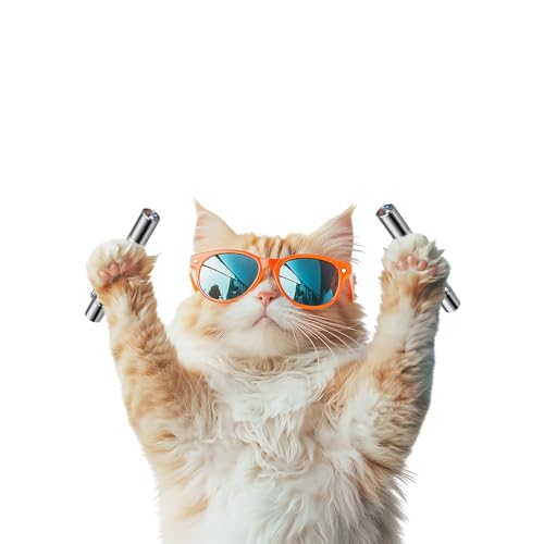 FYNIGO Interaktiver Spielzeugstab für Indoor-Katzen(2 Stück)