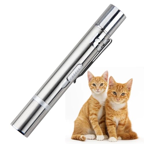 LgCiXli Interaktives Katzenspielzeug & LED Pointer | Optimale Beschäftigung & Training für Wohnungskatzen | 8-in-1 Multifunktions-Stift USB aufladbar | Robustes Edelstahl
