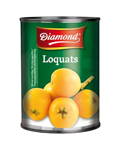 DIAMOND Loquats leicht gezuckert, für exotischen Fruchtsalat und Smoothies - 1 x 580 ml