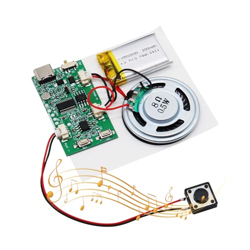 AYWHP USB Soundmodul Musik Sprachaufzeichnungsmodul mit Lautsprecher MP3 USB Kabel Aufladbarer Akku, Top Lautsprecher für DIY Karten, Geschenke, Spielwaren, selbst gestalten
