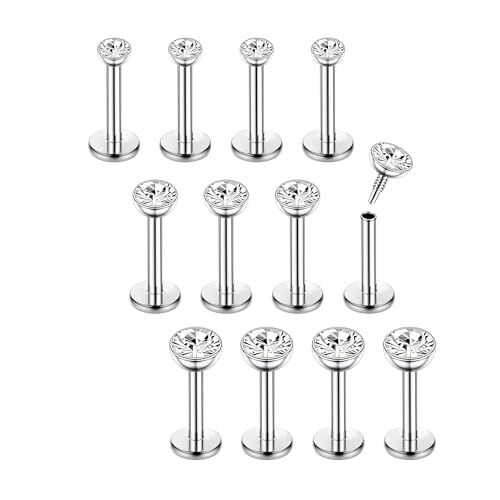 Chriscoco 16G 12Pcs Helix Piercings Chirurgenstahl piercing ohr conch piercing Nasenpiercing Tragus Piercing lippenpiercing labret piercing Studs 6mm für Frauen Männer Silber