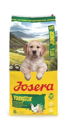 JOSERA Junior YoungStar Huhn & Kartoffel (1 x 12,5 kg) | Premium Trockenfutter für wachsende Hunde | Welpenfutter für mittlere & große Rassen zur optimalen Versorgung | getreidefrei | 1er Pack