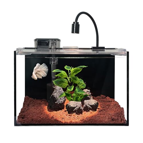 Craftsboys 11L Ultra-Klar Aquarium-Set mit LED-Beleuchtung, Filter, Sand & Steinen - Regenwald-Stil Fischbecken 30x18x20cm