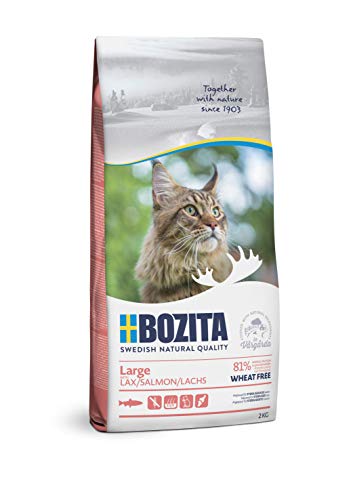Bozita Large Weizenfrei Lachs – 2 kg Trockenfutter für große Katzenrassen – weizenfreies Katzenfutter mit 31 % Protein & 18 % Fett – für sensible Katzen – ohne Zucker & Gentechnik