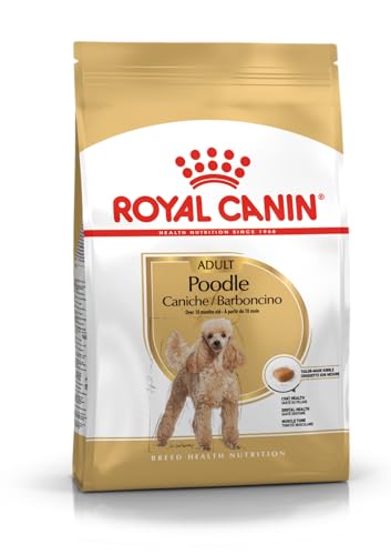 Royal Canin Poodle Adult | 3 kg |Trockenfutter für ausgewachsene Poodle | Zur Unterstützung des Fells und des Muskeltonus | Für Hunde ab dem 10. Lebensmonat