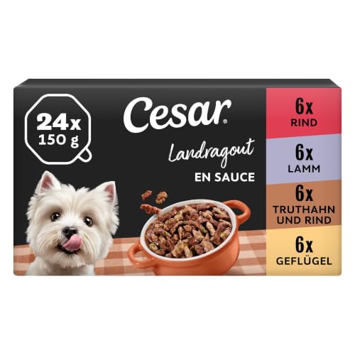 Cesar Landragout Adult 6 x 150 g Schalen mit Rind & Nudeln, Truthahn, Rind & Kräutern, Geflügel, Gemüse & Petersilie und Lamm & Erbsen in Kräutersauce