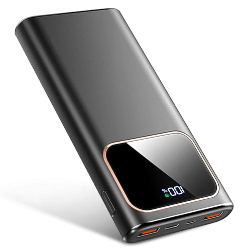 PowerBank Schnellladung 10000mAh DY201XD1011I DE