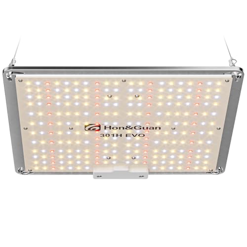 Hon&Guan Grow Lampe LED 100W, Vollspektrum Pflanzenlampe mit LM301H EVO, 6500K Wachstumslicht, Dimmbar Wachstumslampe, Zimmerpflanzen Grow Light für Growzelte Growtent Growzelt 60x60cm 40x40cm