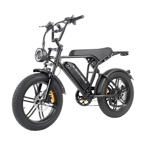 Sinaopus E-Bike 250W Elektrofahrrad für Erwachsene Fatbike 20