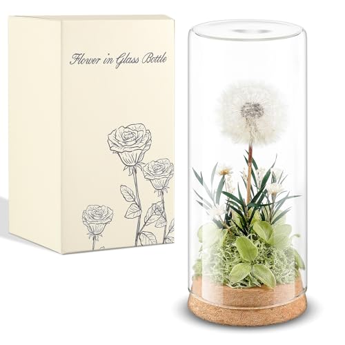 Blulu Pusteblume Wunscherfüller Geschenke für Frauen Echte Pusteblume im Glas Konservierte Blumen im Glas Geschenke für Geburtstag Hochzeit Weihnachten Mama Oma Freundin