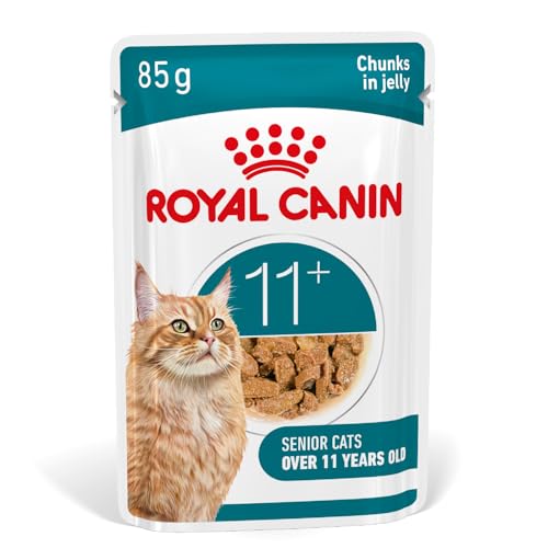 ROYAL CANIN AGEING 11+ Jelly | 12 x 85 g | Nassfutter für Senior Katzen ab dem 11. Lebensjahr | Formel mit dem HealthyAge7™ Complex | Schmackhafte Stückchen in Gelee