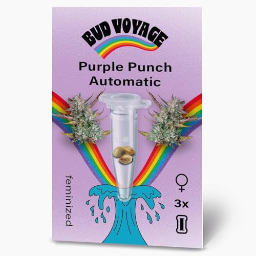 BudVoyage Purple Haze Fem Verpackung