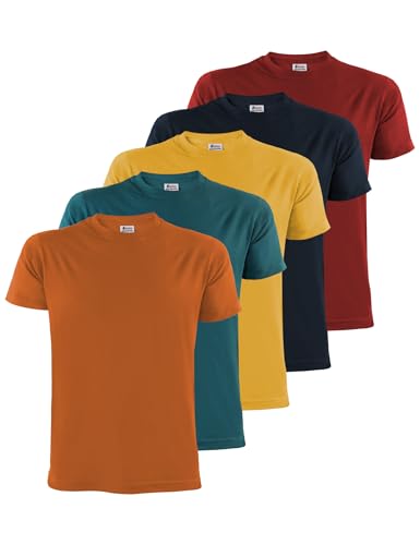 ALPIDEX Herren T-Shirts 4XL Übergröße 5er Set Basic 100% Baumwolle Desert