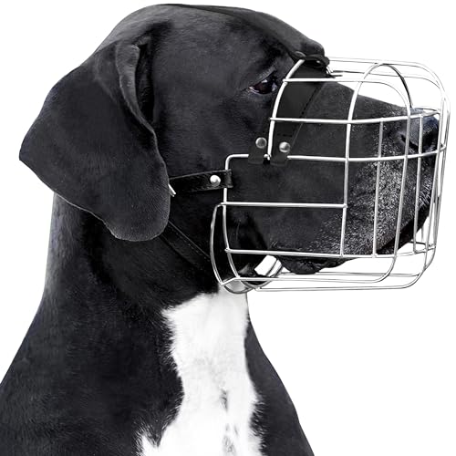 BRONZEDOG Hundemaulkorb Verstellbar Robustes PVC/Metalldrahtkorb für Große und Sehr Große Hunde mit Lederbändern Atmungsaktiv, Trinkfähig, Training, Verhindert Beißen (Great Dane, Edelstahl)