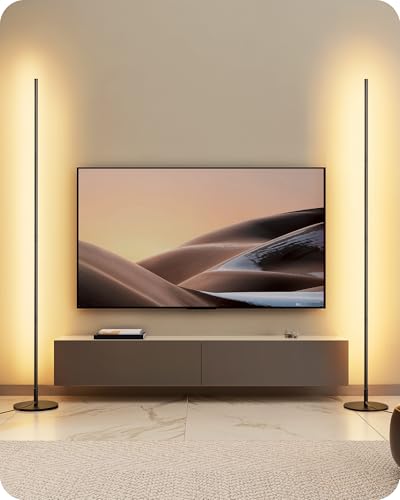 EDISHINE Stehlampe Wohnzimmer, dimmbar, höhenverstellbar, Schwarz, 2er-Set