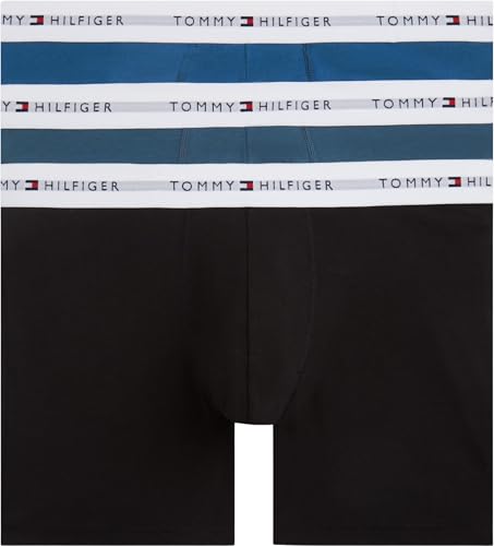 Tommy Hilfiger Herren 3er Pack Boxershorts Briefs mit Logobund, Mehrfarbig (Blk/Blu Jn/Ag Sea), L