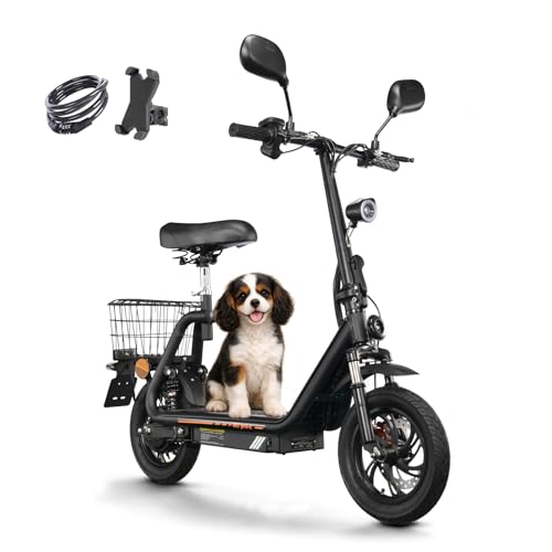 TWOFISH E Moped mit Straßenzulassung, Elektro Motorrad für Erwachsene mit 500W Motor 48V 13Ah Akku, EEC Zertifiziert, Max. 45 km/h, 12 Zoll Reifen, IPX4, M5pro