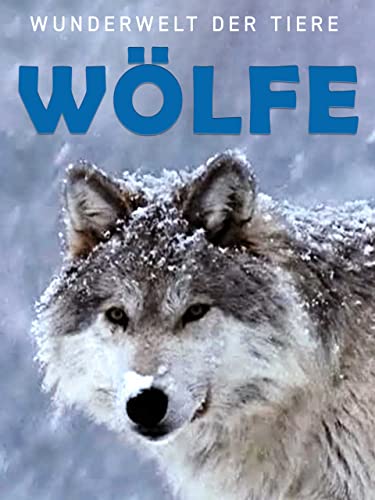 Wunderwelt der Tiere - Wölfe
