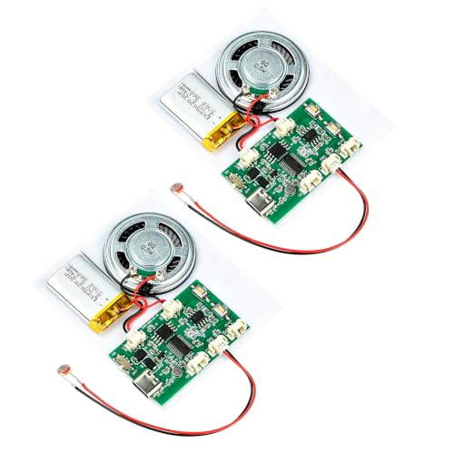 Heemol 2 Stück DIY Geburtstagskarten Soundmodul Mit Lautsprecher,8MB Lichtaktiviertes Soundmodul,Persönliche Segenswünsche Aufzeichnen Für DIY Karten, Geschenke, Spielwaren, Selbst Gestalten