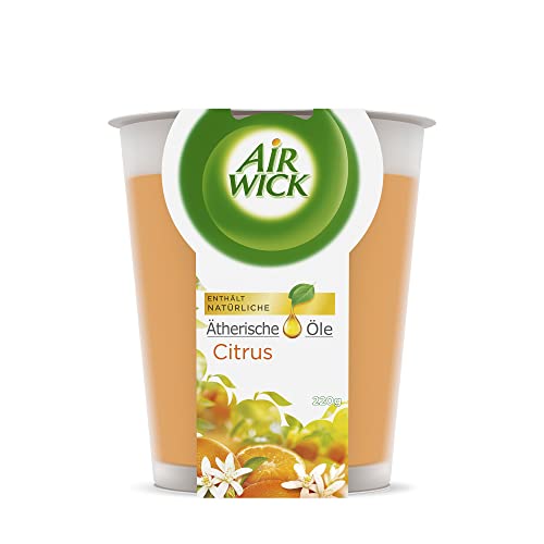 Air Wick Wohlfühl-Duftkerze XL im Glas – Duft: Citrus – Bis zu 40 Stunden Brenndauer – Enthält natürliche ätherische Öle – 220 g Duftkerze