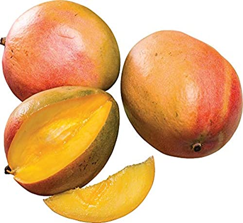 Mango, Stück