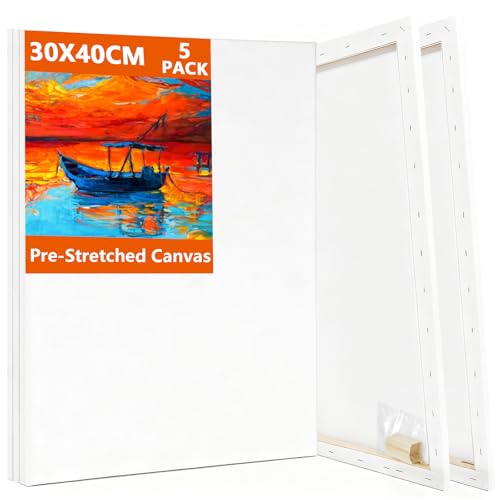 Koncci Leinwand zum Bemalen 30x40cm, 5 Stück Keilrahmen