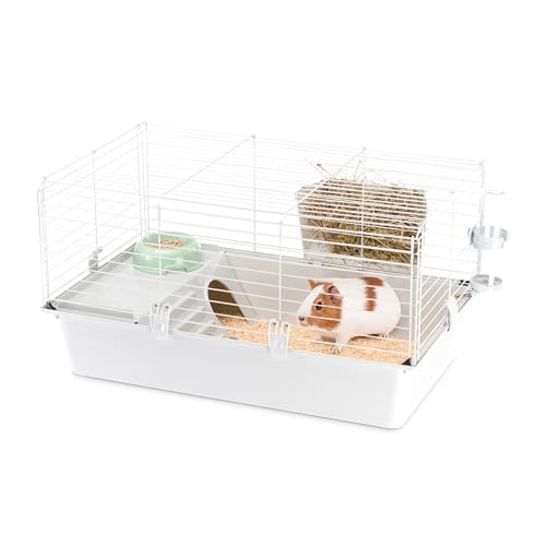 Ferplast Kaninchenkäfig käfig für Hasen, Nagerkäfig, Meerschweinchen- Kaninchenstall mit Zubehör, 77 x 48 x H 42 cm