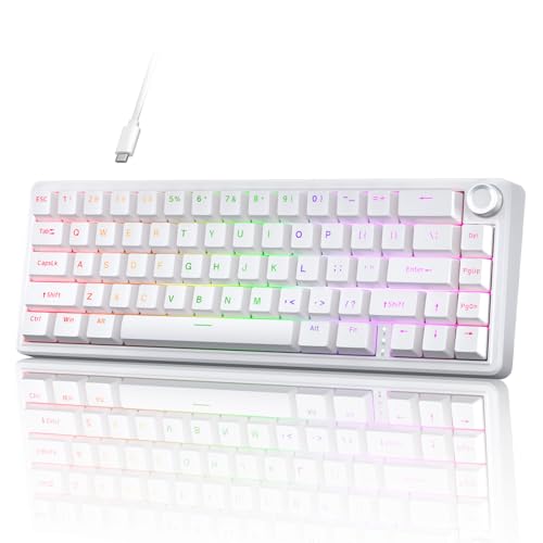 TMKB T68E Gaming Tastatur, 60% Prozent Mechanische Tastatur，Gasket-Struktur mit Knopf, US-Layout, Hot-Swap, RGB, Lineare Schalter, 66 Tasten Kompakt Mini Tastatur für Windows/macOS/Linux –Weiß