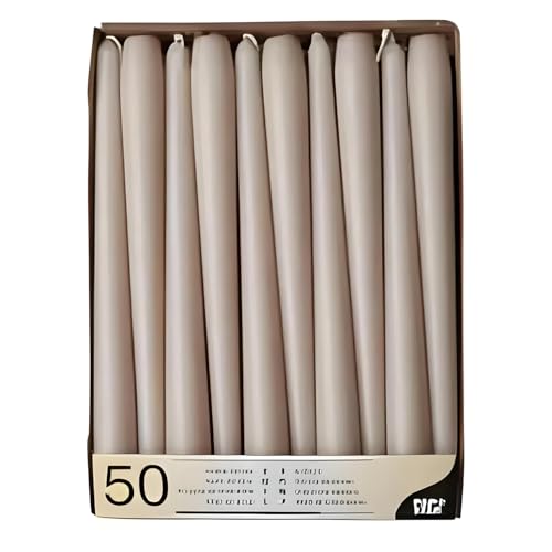PAPSTAR 50 Leuchterkerzen Ø 2,2 cm · 25 cm puder