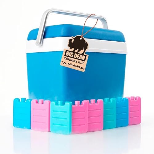 Kühlbox inkl. 12 Kühlakkus 24 Liter Kühlbox mit Akku für bis zu 11 h Kühlung