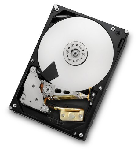 Hitachi HGST Ultrastar 7K4000 2TB Interne Server Festplatte HUS724020ALA640 3,5 Zoll HDD SATA 6Gb/s 7200RPM 64MB Cache