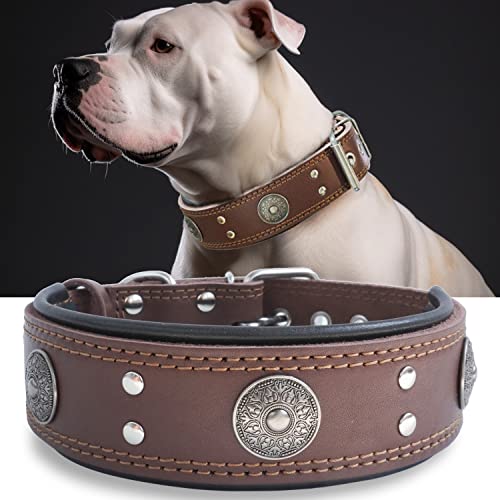 Hundehalsband Leder, 5 cm Breites Robustes Echtes Lederhalsband, Handgefertigt, Weich und Luxuriös, Auffällige Beste Wahl für Große und Mittelgroße Hunderassen, Braun L