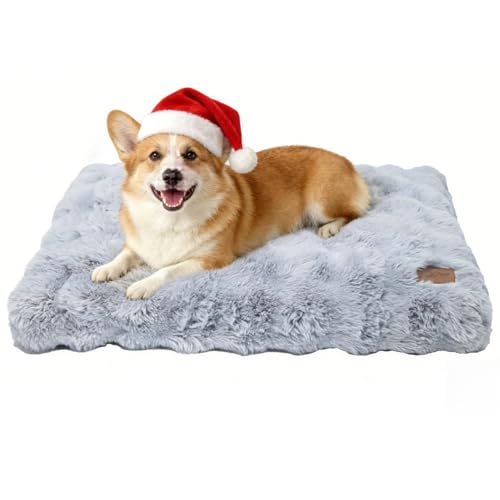 BingoPaw Hundebett Grosse Hunde waschbar: Hundekissen flauschig Hundematte für große mittelgroße Hunde, Hundematratze wasserdicht abnehmbar rutschfest, beruhigendes Haustierbett, Grau, 90x60x10 cm