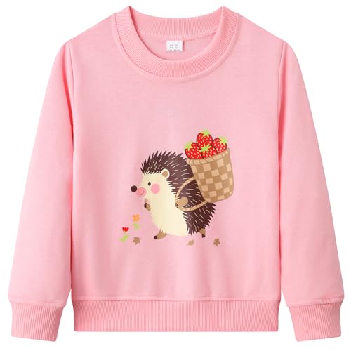 Dinopjs Mädchen Pullover der Kleine Igel Seine süße Erdbeer-Last nach Hause, Mädch Warm Sweatshirt, Cartoon Tiere Kleidung, Girls Top Wear Sportshirt Clothes für Kinder 3 Jahre / 98, Rosa