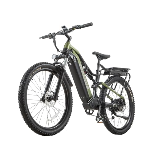E Bike elektrofahrräder herren damen, Ebike 48V 20Ah(960Wh) Akku bis 120km, 27.5x2.8 Zoll electric bike 9-Gang Getriebe mit LCD-Display, Vollfederung E fahrrad 250W Motor 95 N.m 25km/h, B27 (B27 Grün)