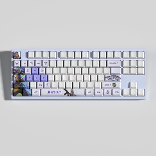 Valorant Waylay Set mit 29 Keycaps, PBT, hohe Dichte, OEM Profile Dye Sublimation, Layout, ideal für Content-Designer und Sportbegeisterte