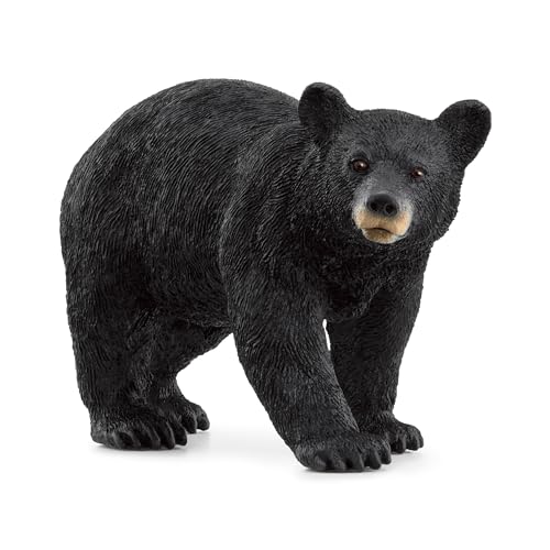 SCHLEICH 14869 Amerikanischer Schwarzbär, ab 3 Jahren, WILD Life - Spielfigur, 4 x 12 x 6 cm