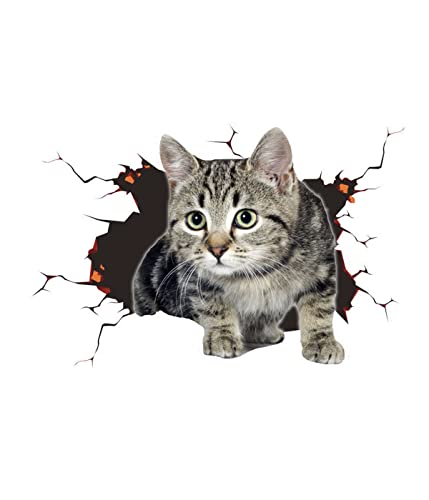 3D Katze Aufkleber, Autoaufkleber, Niedliche Katze Dekorationen Benutzerdefinierte Auto Stoßstange Aufkleber Kratzer Thema Wand Aufkleber Stil 3