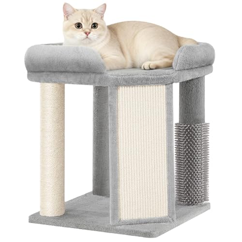 Kratzbaum Klein, 48 cm Hoher Kleiner Kratzbaum mit Kratzsäulen, Katzenbaum Klein, Großer Fünfeckiger Plattform Oben, Einteiligem Kratzbrett, Fellpflegepfosten, Hellgrau FPMS001FG1