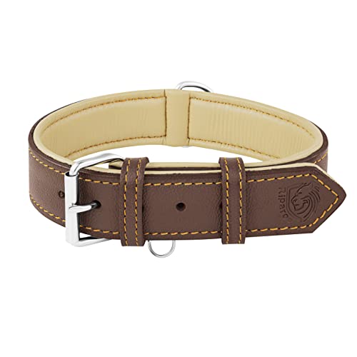 Riparo Echtes Leder Verstellbares Hundehalsband mit Zusätzlicher Verstärkung (L: 3,8CM Breit für 43,2CM - 53,3CM Hals, Braun)