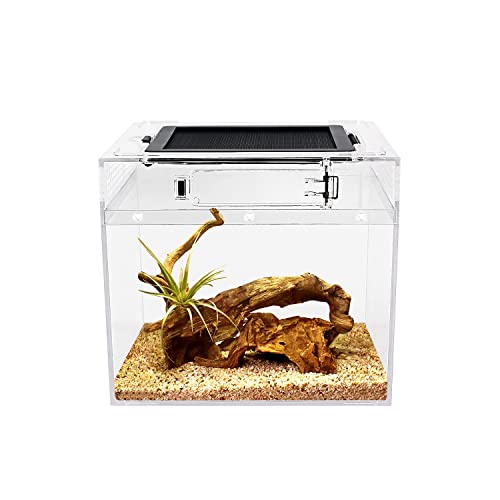 Reptile Growth Mini PC Terrarium, 8