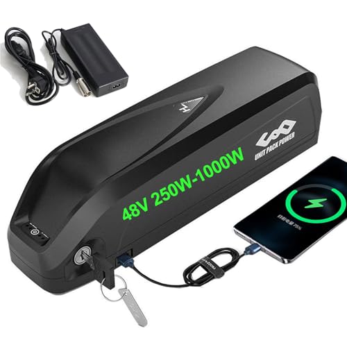 E bike Akku