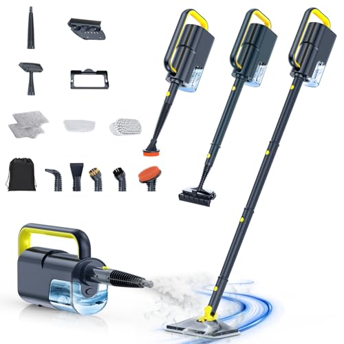 Dampfreiniger mit abnehmbarem Handdampfreiniger