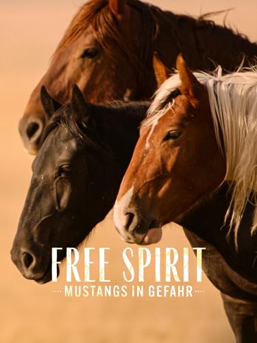 Free Spirit - Mustangs in Gefahr