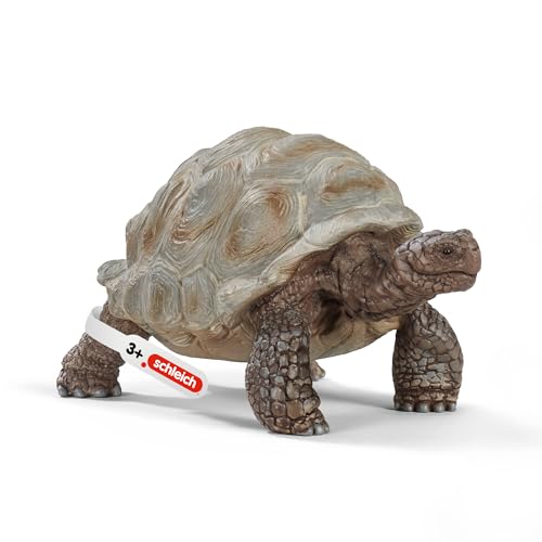 SCHLEICH WILD Life | Riesenschildkröte 14824 | detailgetreue Tierfiguren | Zoo Spielzeug | tolles Geschenk für Jungen und Mädchen | Deko für Geburtstag | Spielfigur ab 3 Jahren | 8 x 4 x 4 cm