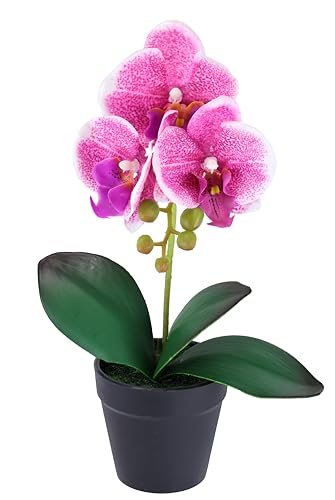 Künstliche Orchidee Phalaenopsis im Topf 30cm Real Touch Blüten realistische exotisch Blume Kunstblume Kunstorchidee Kunstpflanze Zimmerblume Zimmerdeko Hochzeit pflegeleicht Deko Seidenblume
