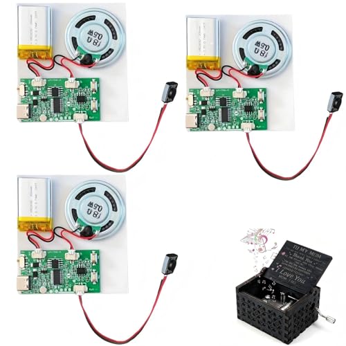 USB Soundmodul Bespielbar MP3 mit Lautsprecher - 3 Stück Recordable Voice Module, Musik Sprachaufzeichnungsmodul mit Aufladbarer Akku & Kabel für DIY Karten, Geschenke, Spielwaren